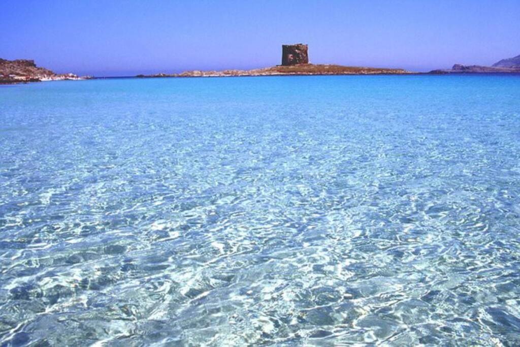 Villa Stintino Casa Panoramica A 500 Mt Dal Mare Esterno foto